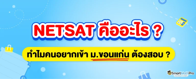 Netsat คืออะไร ?