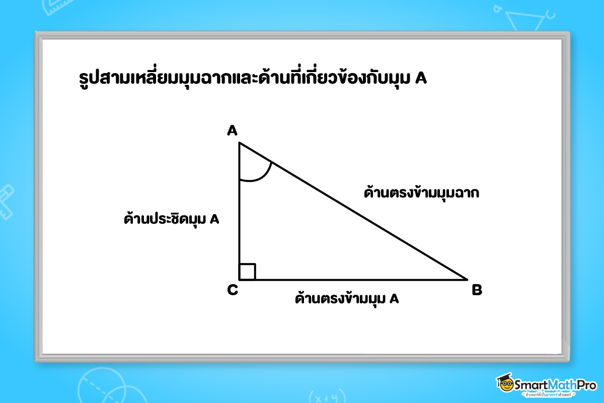 รูปสามเหลี่ยมมุมฉากและด้านที่เกี่ยวข้องกับมุม A ในตรีโกณมิติ ม.3